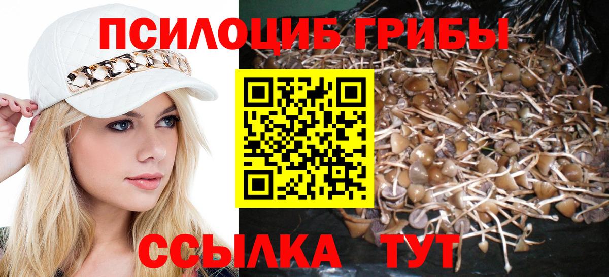Галлюциногенные грибы Magic Shrooms Алейск