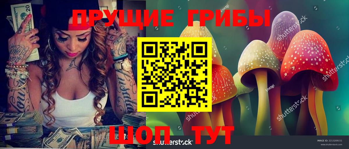 Алейск  Псилоцибиновые грибы мицелий  Вход с VPN  Псилоцибиновые грибы Psilocybe 