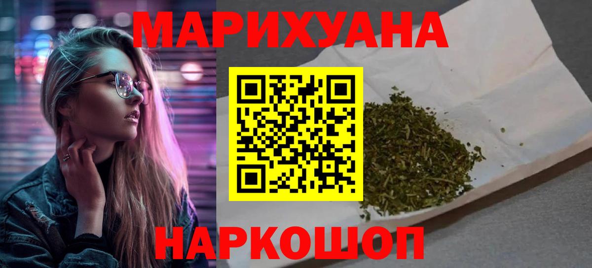 Конопля сатива Алейск
